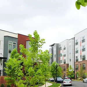  Apartment Modern 1bd Studio Apt In Plaza Midwood With Community Pool
